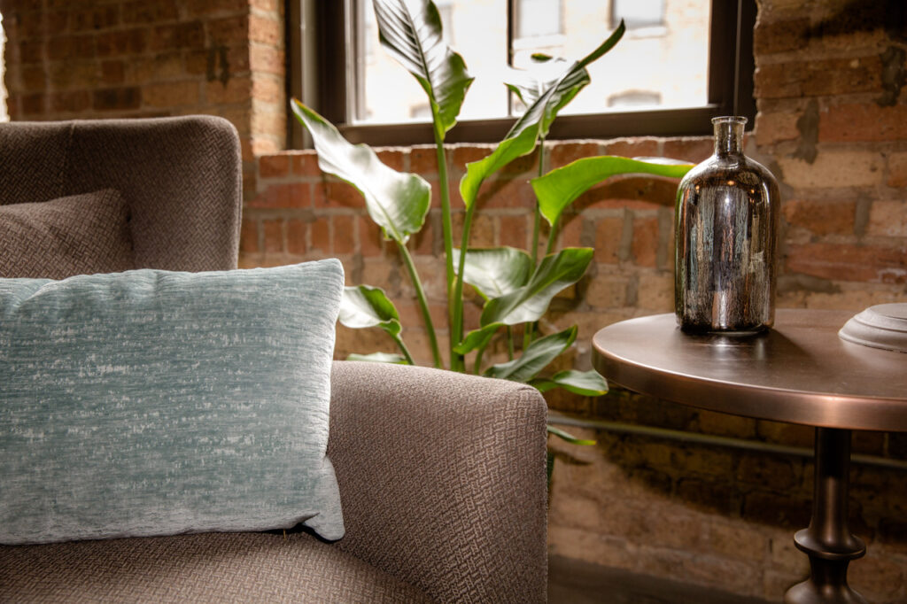 harmonic wellness and healing